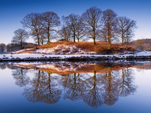 Поздняя осень