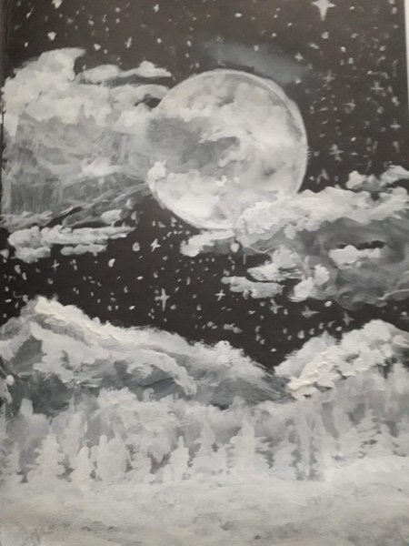 Зимние деревья