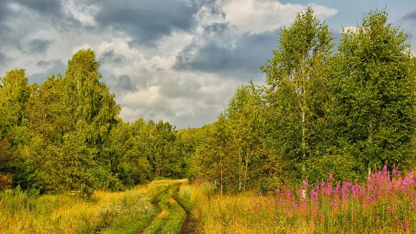 Русская природа