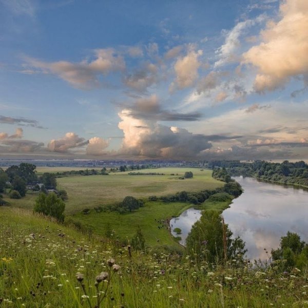 За рекой Луга зазеленели Бунин