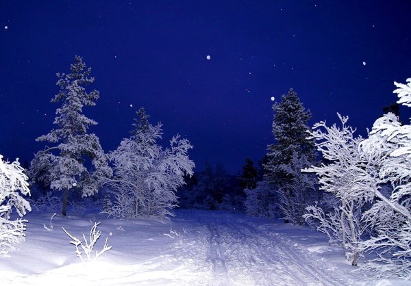 Новогодний дом в лесу
