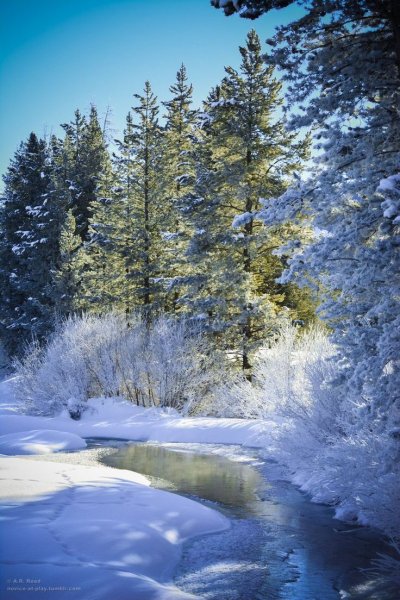 Красивая зима