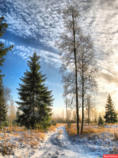 Зимний пейзаж HD