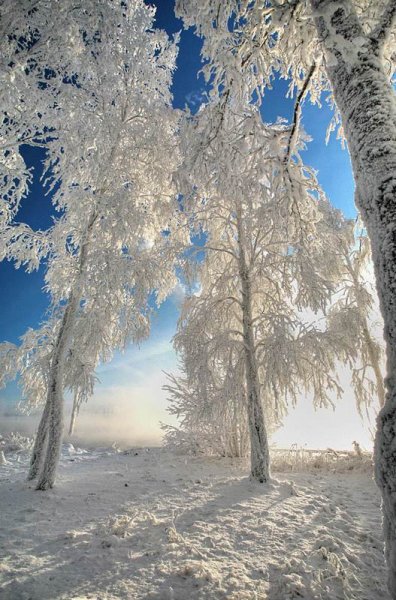 Декабрьское утро стих