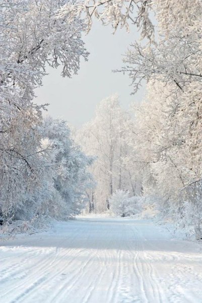 Зимний пейзаж вертикально