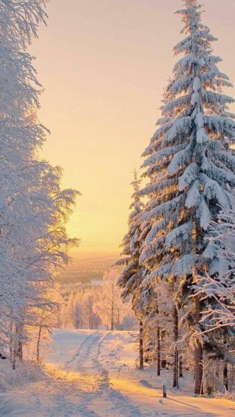 Февраль природа