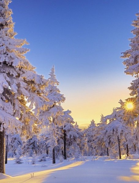 Природа зима озеро