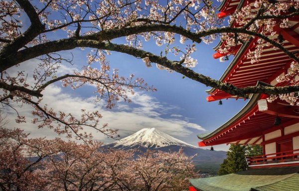 Япония Сакура пагода