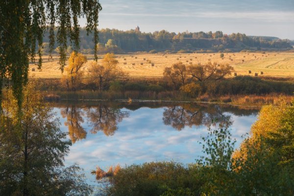 Природа Рязанской области