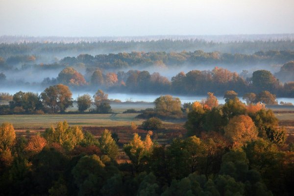 Константиново Рязанская область осень