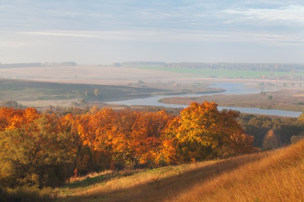 Солотча осень