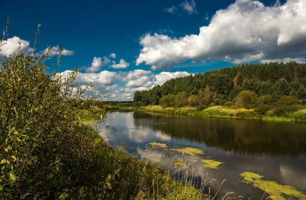 Рязанская Губерния природа