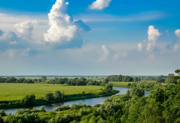 Рязань равнина