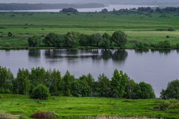 Река в Константиново Рязанская область