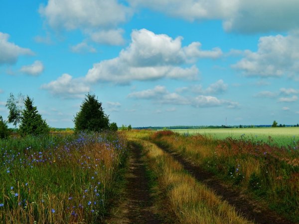 Рязанские пейзажи
