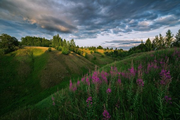 Природа Рязанской области