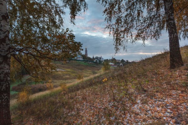 Природа осень Рязанская обл