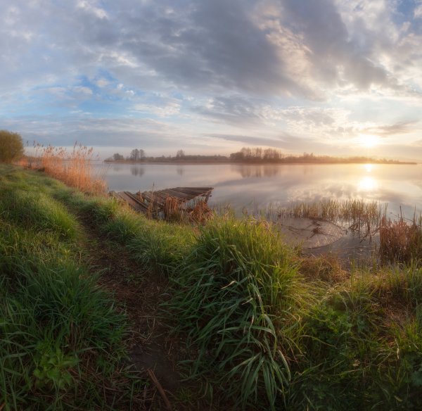 Река Проня Рязанской области