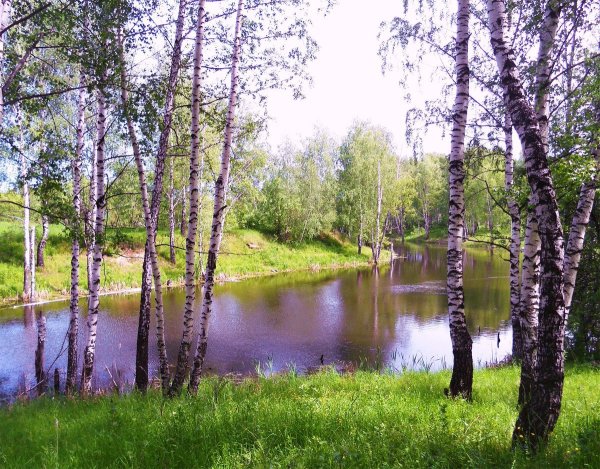 Природа Рязанского края