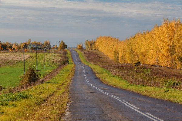 Село Константиново Рязань пейзажи осень