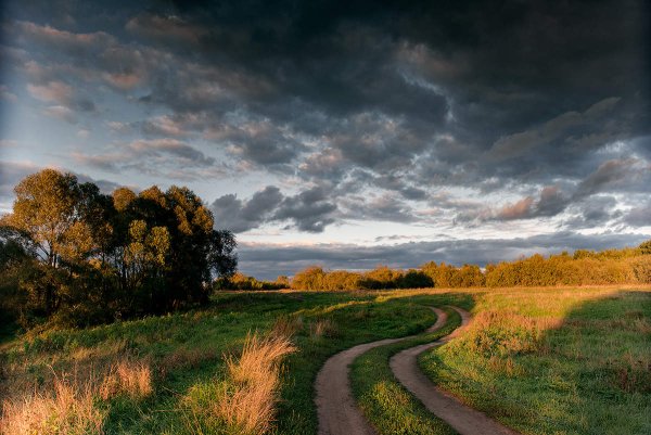 Паля Рязанская область