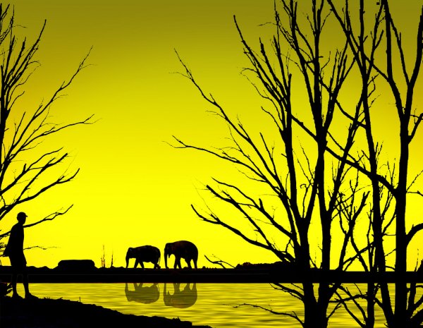 Силуэтное рисование