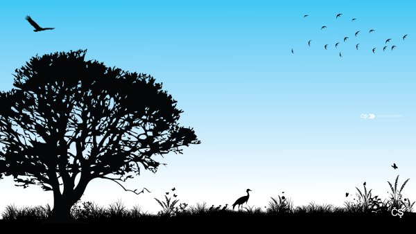 Силуэты природы