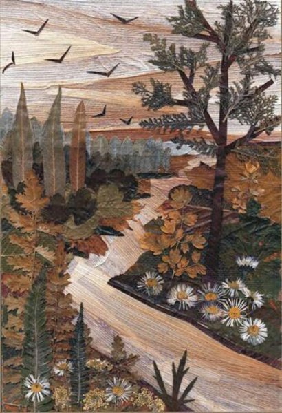 Ошибана Павлин