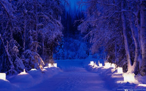 Зимний ночной пейзаж