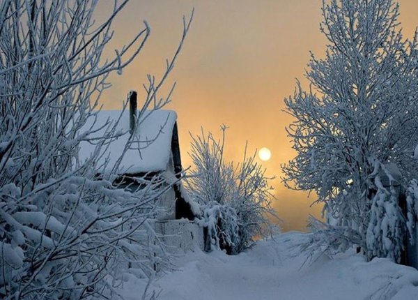 Морозный зимний вечер в деревне