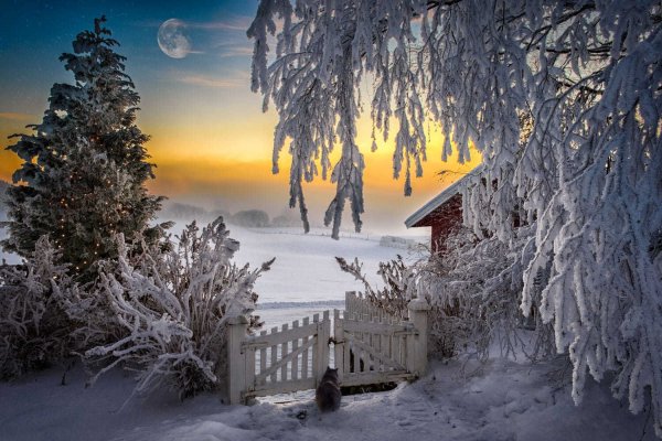 Зимний вечер