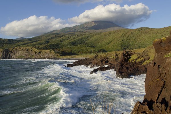 Остров Сахалин природа