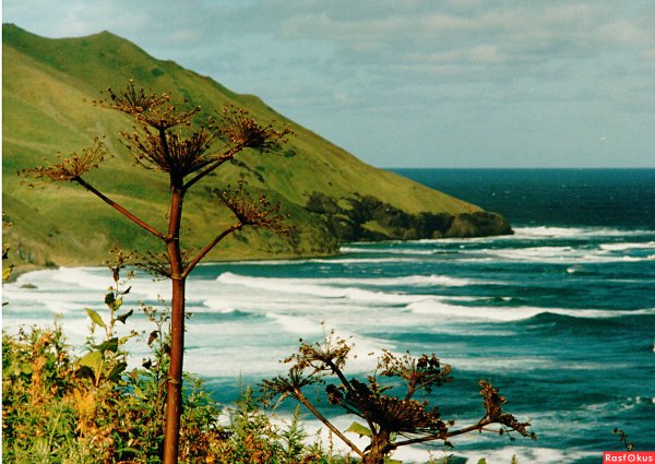 Пейзажи острова Сахалин