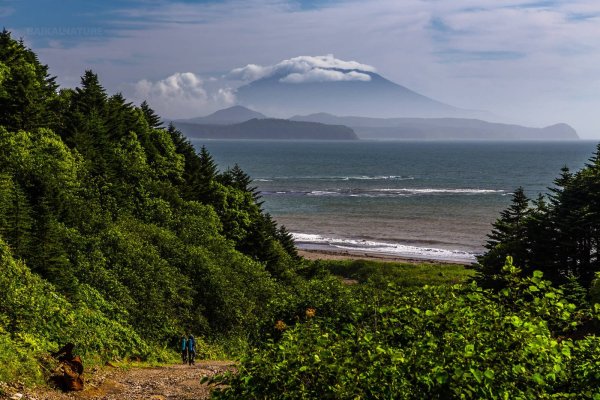 Остров Кунашир природа