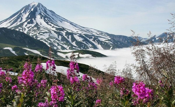 Южный Сахалин природа