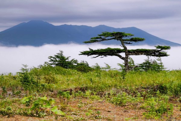Сахалин Курильские острова Итуруп