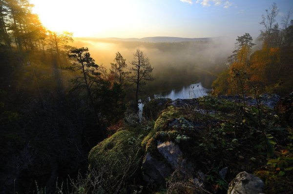 Уральские леса Екатеринбург