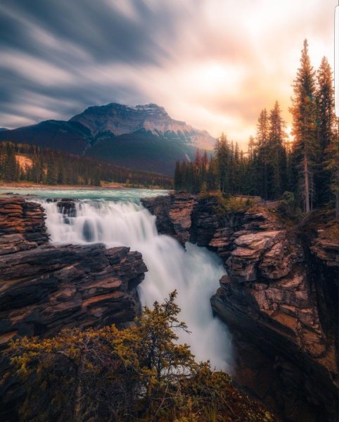 Арт фотография природа