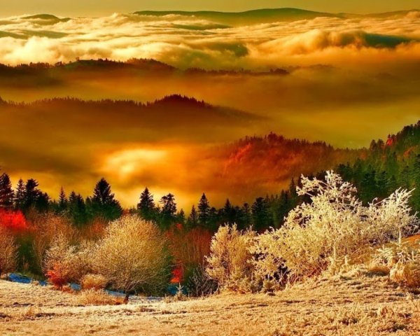 Красивые теплые пейзажи