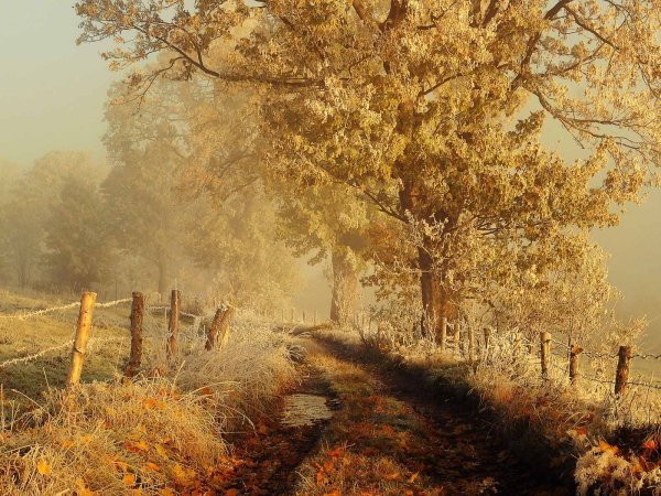 Красивые теплые пейзажи