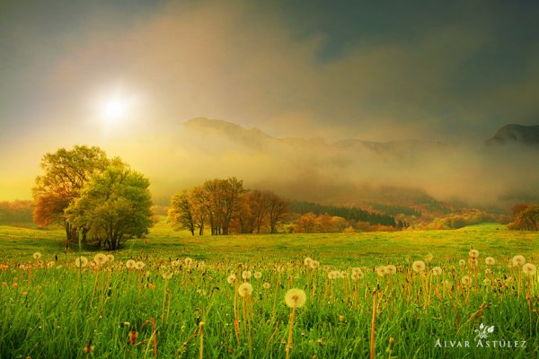 Божественная природа