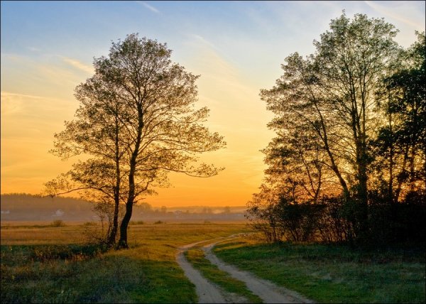 Тихий пейзаж