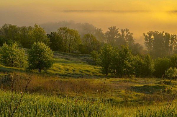 Весна, утро, пейзаж