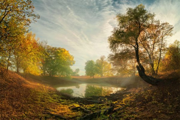 Осень раннее утро