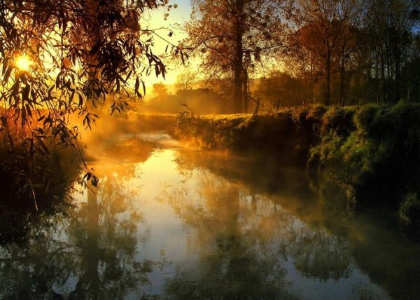 Рассвет ручей