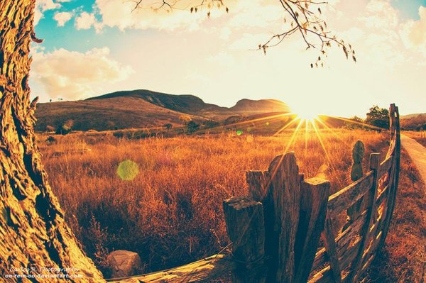 Пейзаж тепло