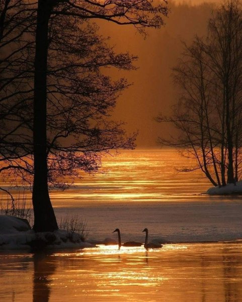 Спокойные пейзажи природы