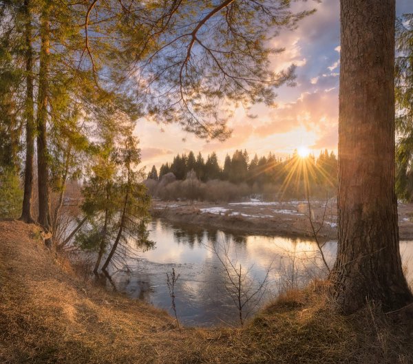 Лес река солнце