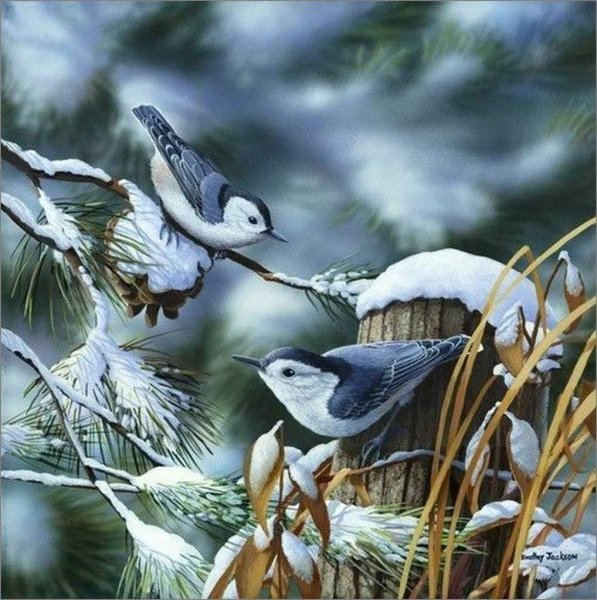 Художник Bradley Jackson