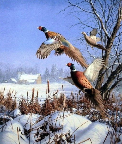 Зимняя охота на птиц